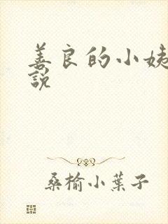 善良的小姨子小说