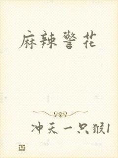 麻辣警花