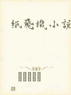 纸飞机小说
