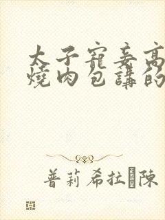 太子宠妾高肉红烧肉包讲的什么