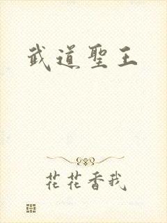 武道圣王