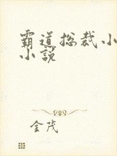 霸道总裁小娇妻小说