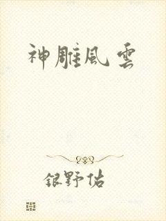 神雕风云