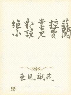 绝对掌控苏绵绵小说免费阅读全文