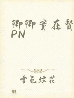 卿卿实在贤良NPN