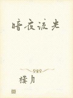 暗夜流光