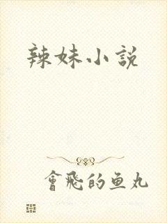 辣妹小说