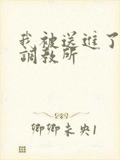 我被送进了私奴调教所