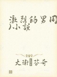 激烈的男同(h)小说