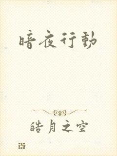 暗夜行动