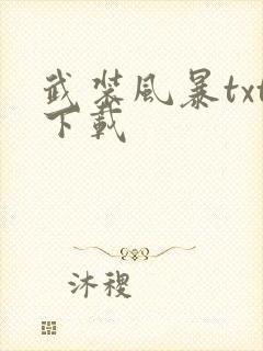 武装风暴txt下载