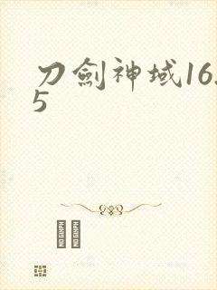 刀剑神域16.5