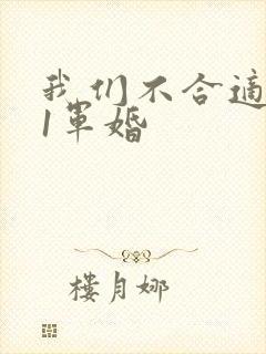 我们不合适1v1军婚
