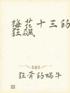 梅花十三的乳液狂飙