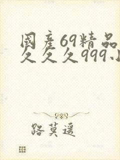 国产69精品久久久久999小说