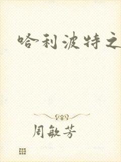 哈利波特之守护