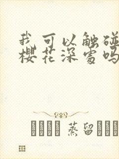我可以触碰你的樱花深处吗