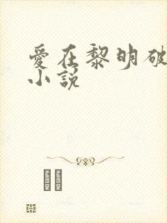 爱在黎明破晓前小说