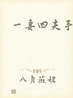 一妻四夫手记