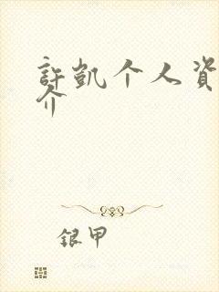 许凯个人资料简介