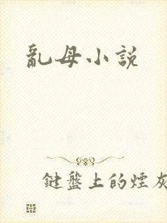 乱母小说