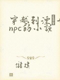 穿越到湮婸世界npc的小说