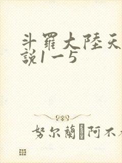 斗罗大陆天狂传说1一5