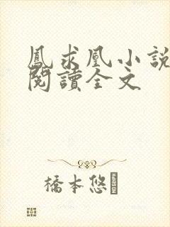 凤求凰小说免费阅读全文