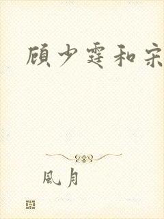 顾少霆和宋斯曼