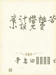 蜜汁樱桃苦咖啡小说免费