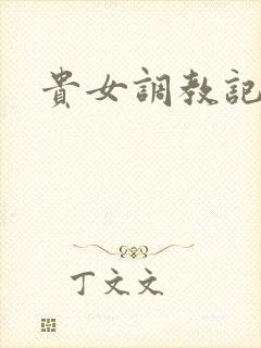 贵女调教记