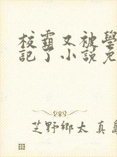 校霸又被学神标记了小说免费阅读