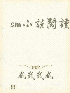 sm小说阅读