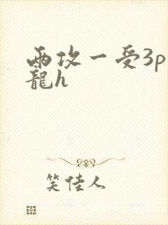 两攻一受3p双龙h