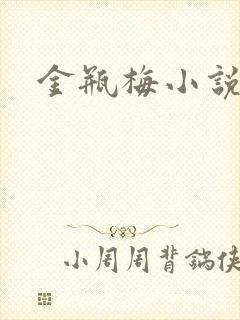 金瓶梅小说下载