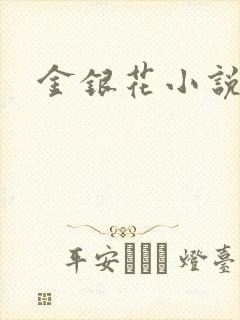 金银花小说乐可