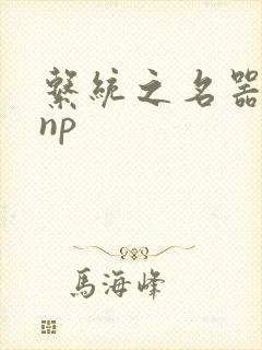 系统之名器攻略np