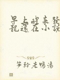 早上醒来发现巨龙还在小说