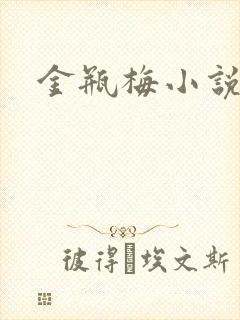 金瓶梅小说
