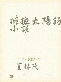 拥抱太阳的月亮小说