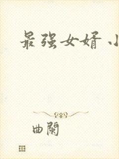 最强女婿 小说