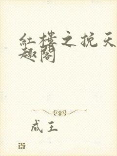 红楼之挽天倾笔趣阁