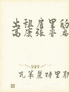 出租房里的交互高康张睿篇