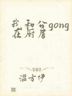 我和公gong在厨房