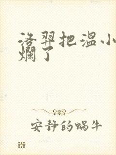 洛羿把温小辉做烂了