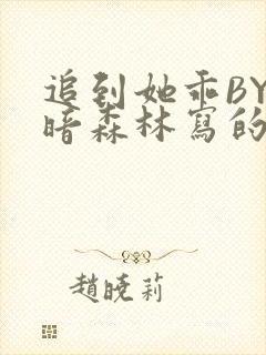 追到她乖BY黑暗森林写的小说