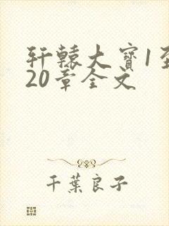 轩辕大宝1至720章全文