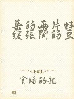 岳的两片蚌肉缓缓张开的豆瓣评分