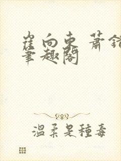 崔向东 萧错 笔趣阁