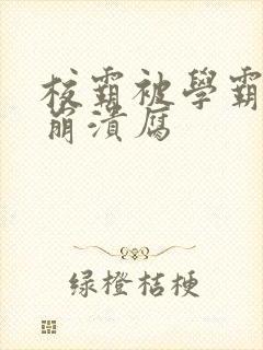 校霸被学霸玩到崩溃腐